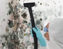 Best Mold Remediation for Healthcare Facilities  in Inglenook, CT